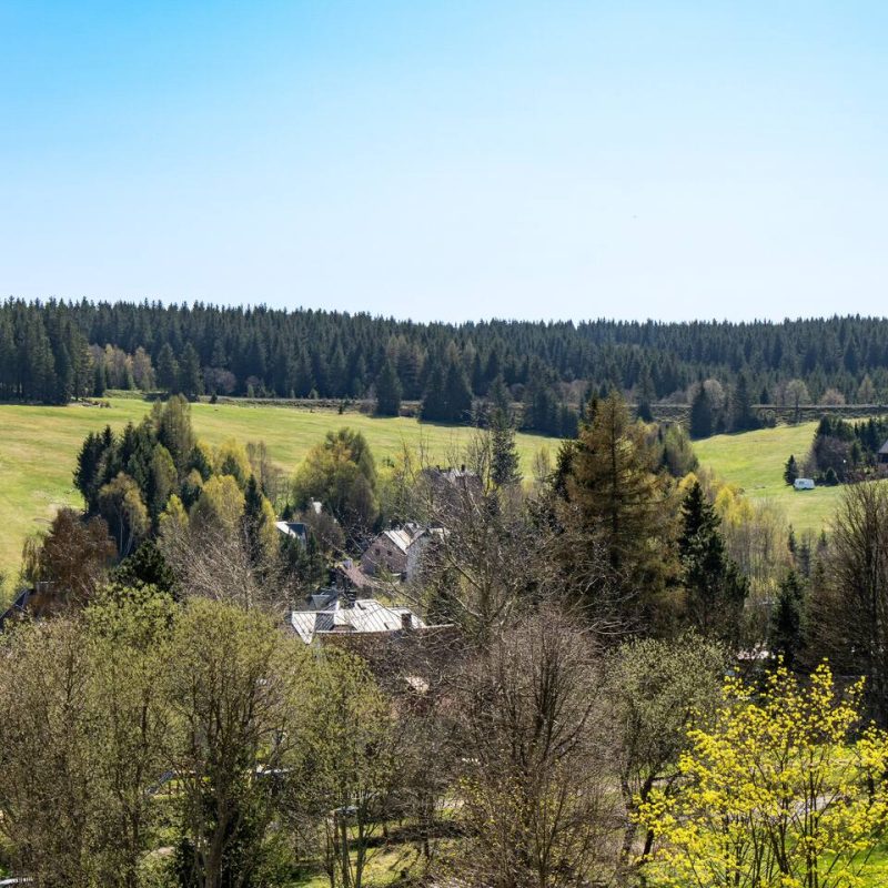 Výhled na lesy v Kovářské