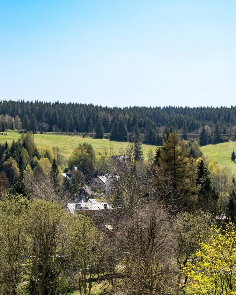 Výhled na lesy v Kovářské